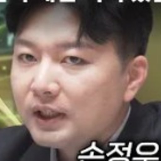 손정우 프로필